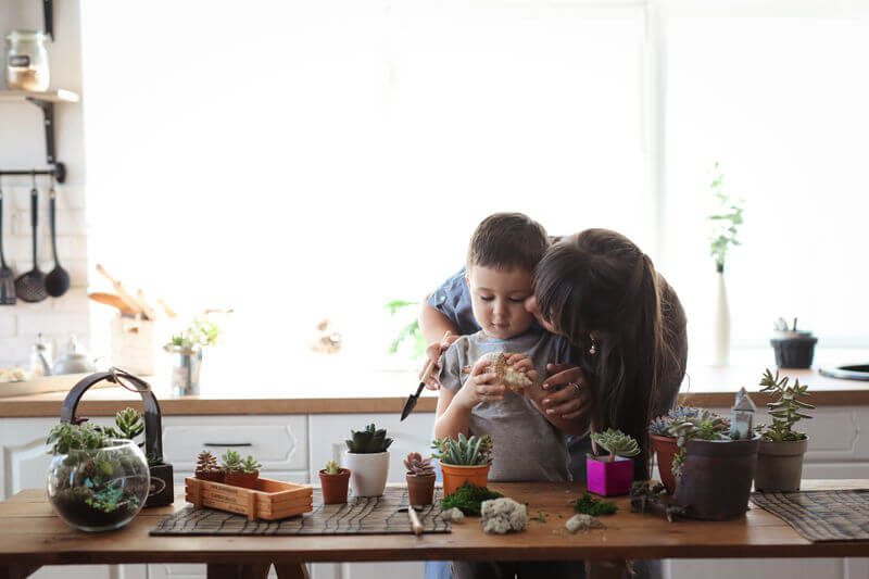 International Child Law - Stowe Family Law