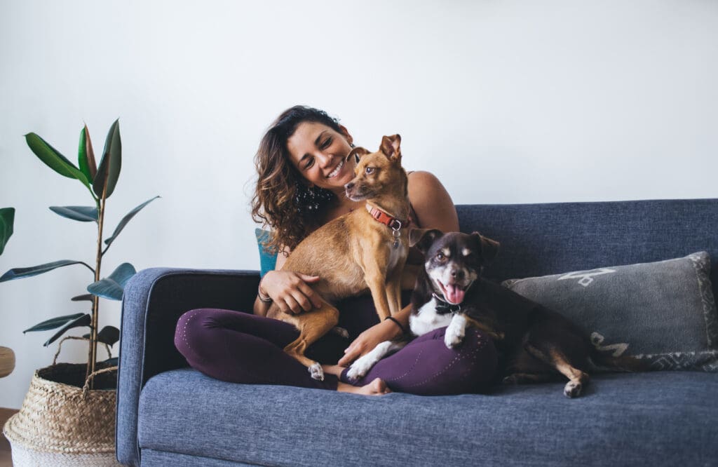 Pets and divorce: what happens to (wo)man&#8217;s best friend?