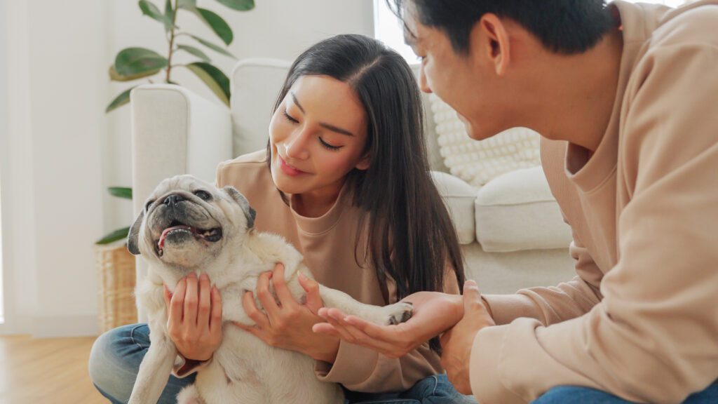 SHould cohabitation law really be reformed?